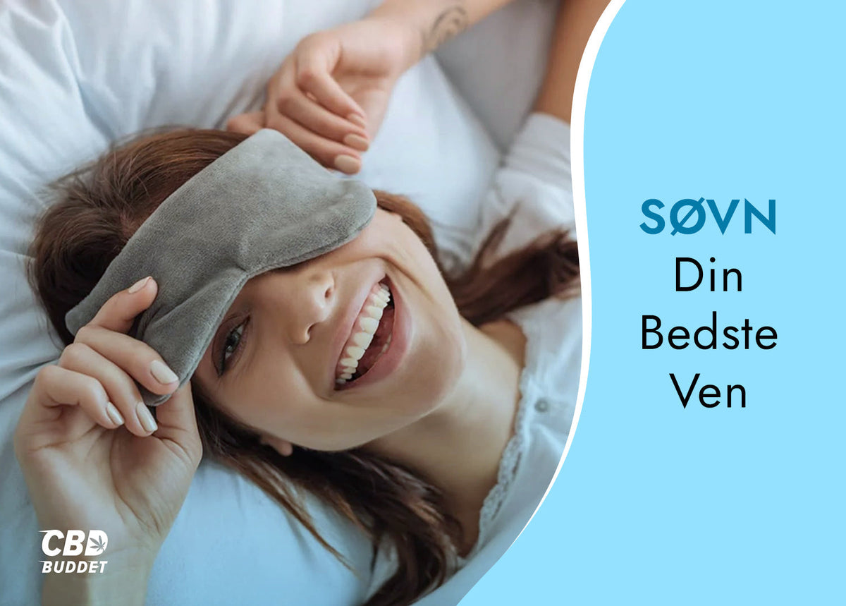 Søvn - din bedste ven