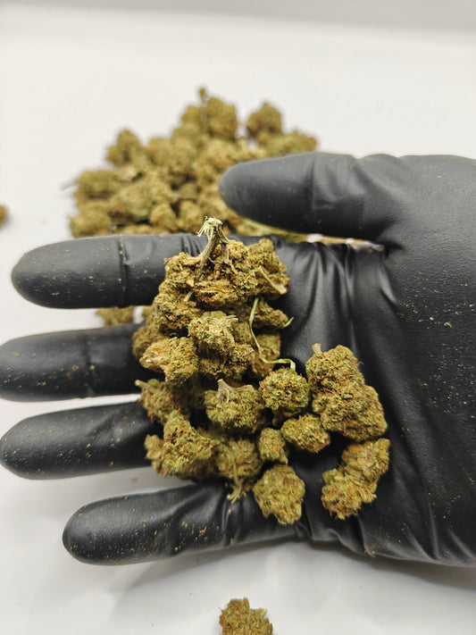 Royal cheese (Små Buds)