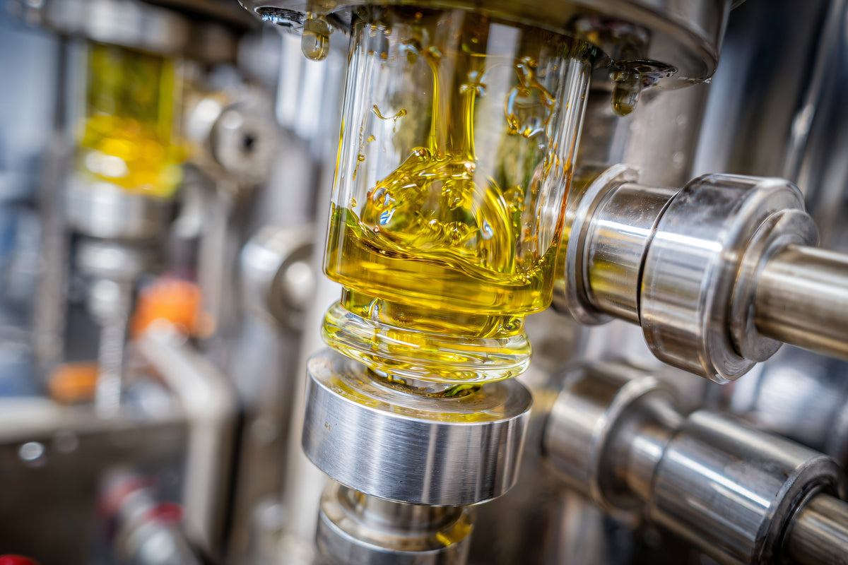 Hvordan produceres CBD-olie?