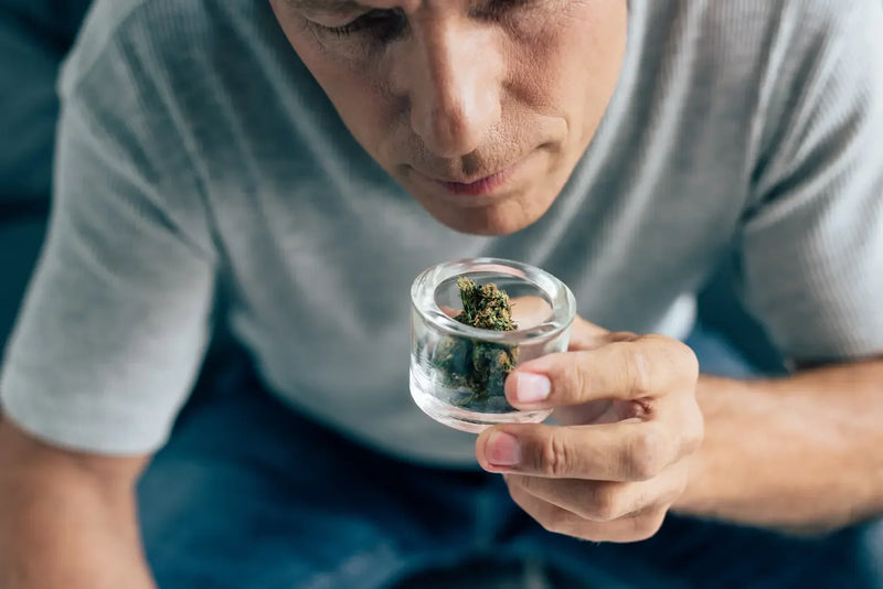 Terpen‑nørderi: myrcen, limonen, linalool & co. forklaret