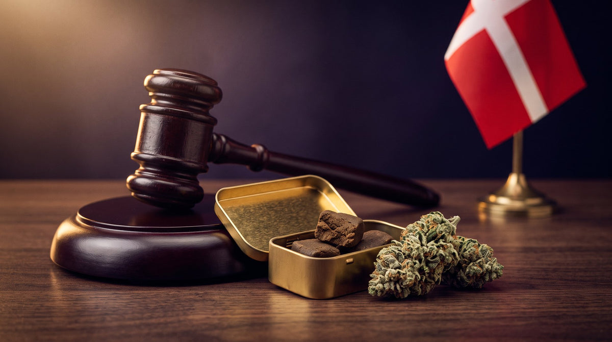Er THCA lovligt i Danmark? Alt du skal vide om lovligt THCA og THCA-hash i 2026