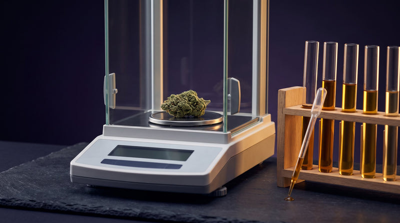 THC-grænse Danmark: Hvad betyder 0,2 % THC, og hvad er lovligt?