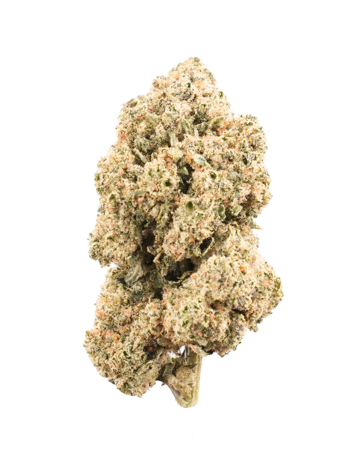 Gary Payton CBD-blomst – del af CBD Blomst Pakken