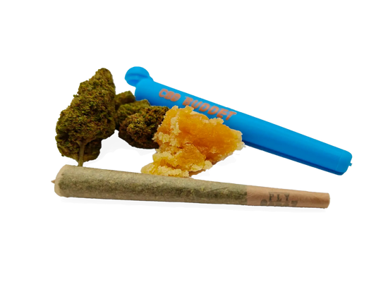 Færdigrullet - Bubblegum × Gelato Sugar Wax (CBD)