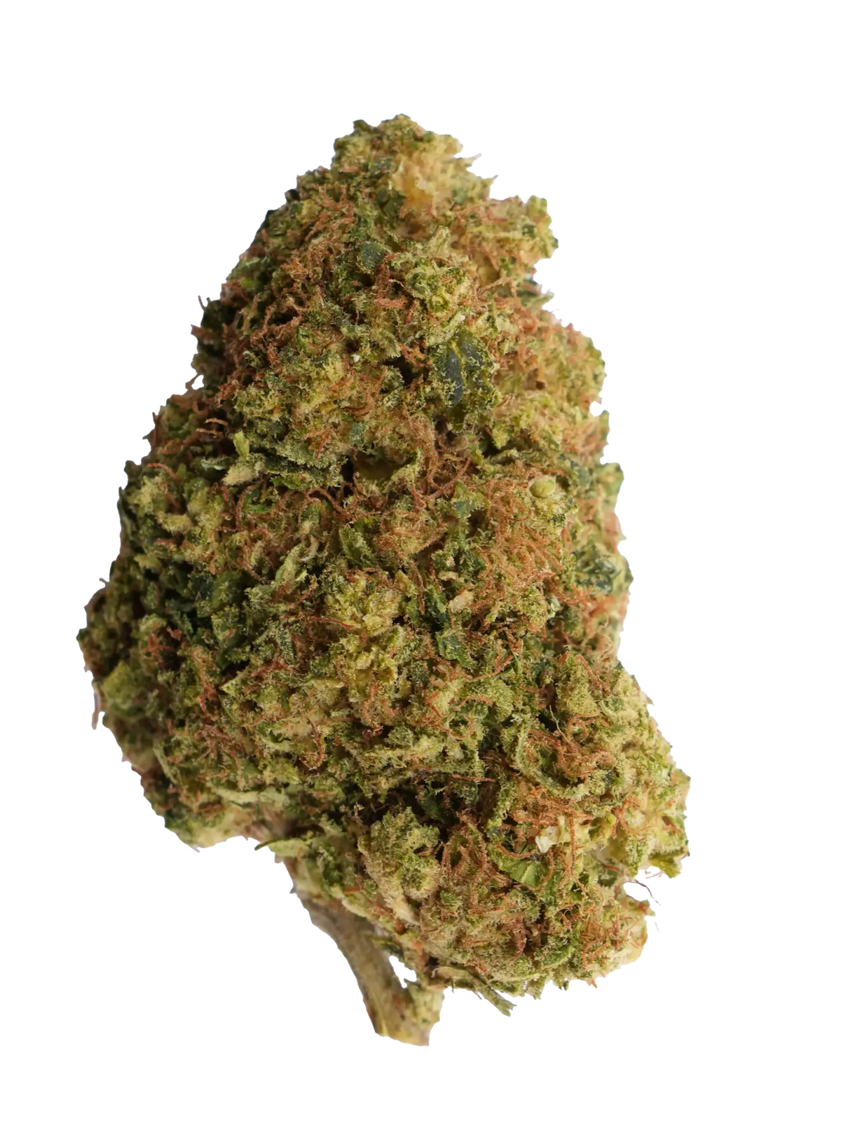 Lemon Octane CBD-blomst – del af CBD Blomst Pakken