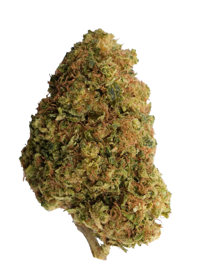 Lemon Octane CBD-blomst – del af CBD Blomst Pakken