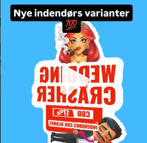 Opslag fra @cbd.buddet på Instagram