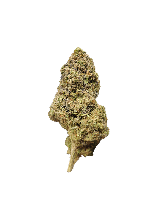 CBD blomst