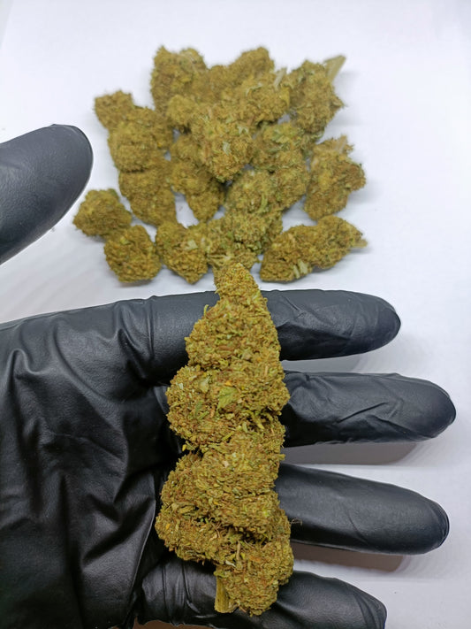 Blueberry