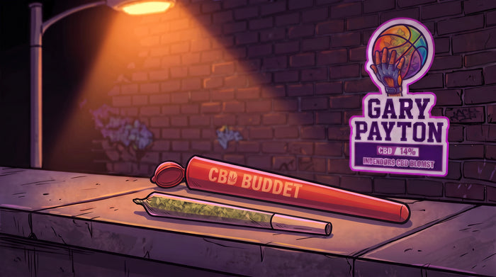 CBD færdigrullet Gary Payton med CBD Buddet jointrør