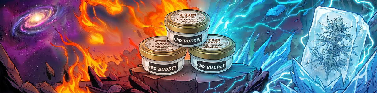 CBD isolat