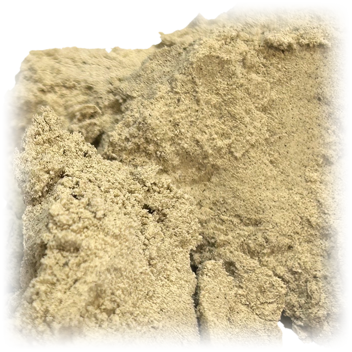 Frozen Runtz Drysift THC-A hash – makro af en lys, pulveragtig klump