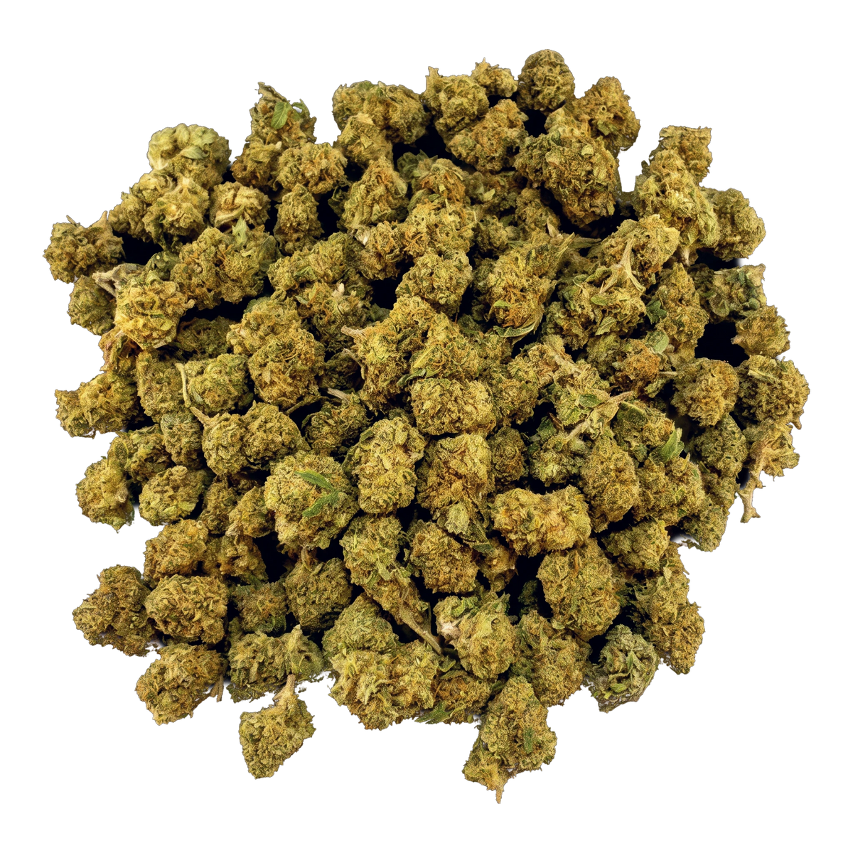 Fruit Cake Popcorn CBD-blomst – bunke af små toppe set oppefra