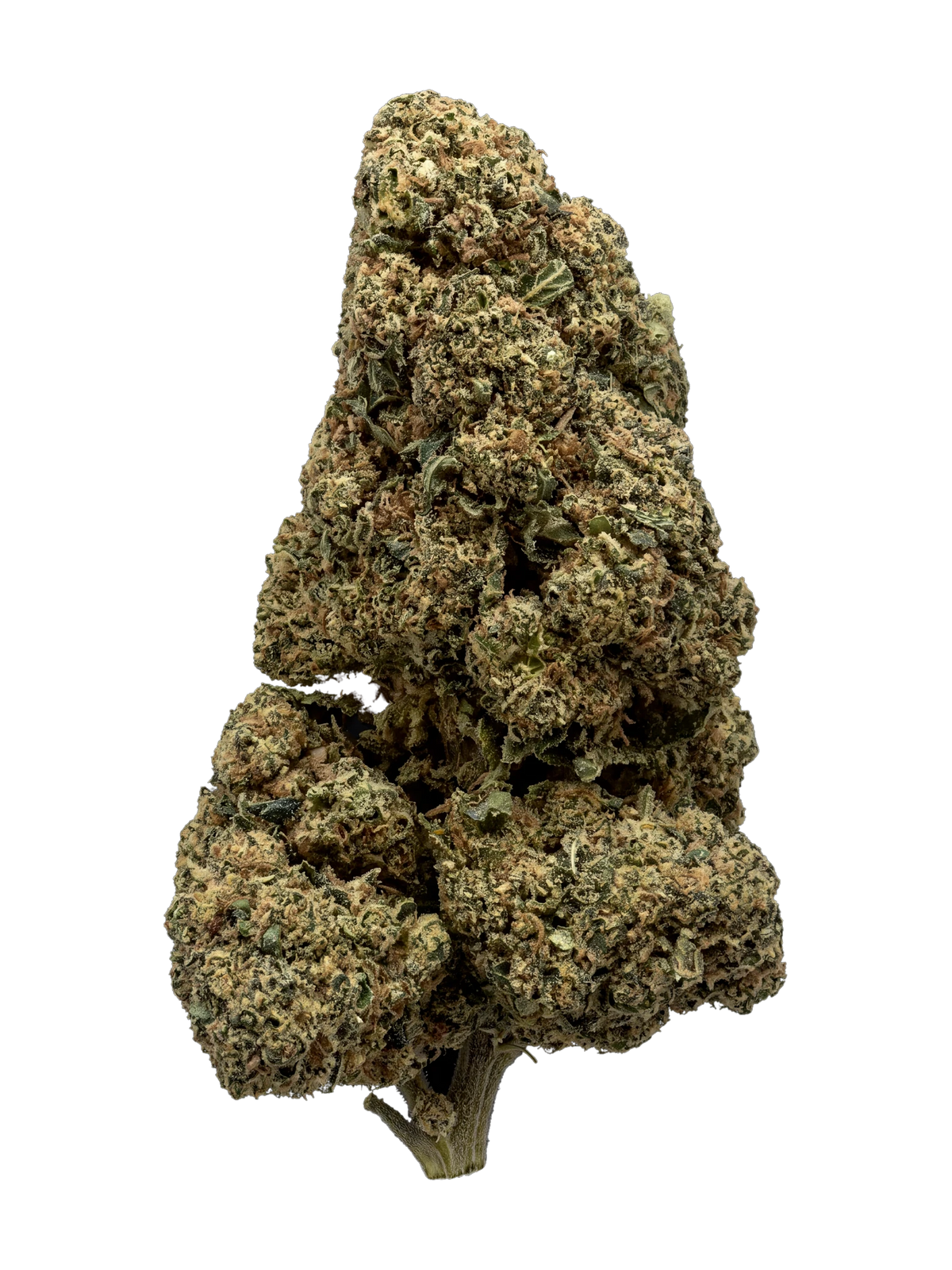 Gary Payton CBD-blomst – topskud