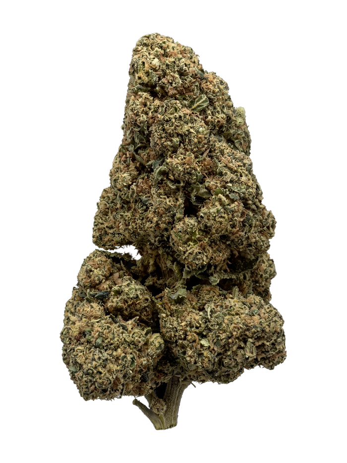 Gary Payton CBD-blomst – topskud
