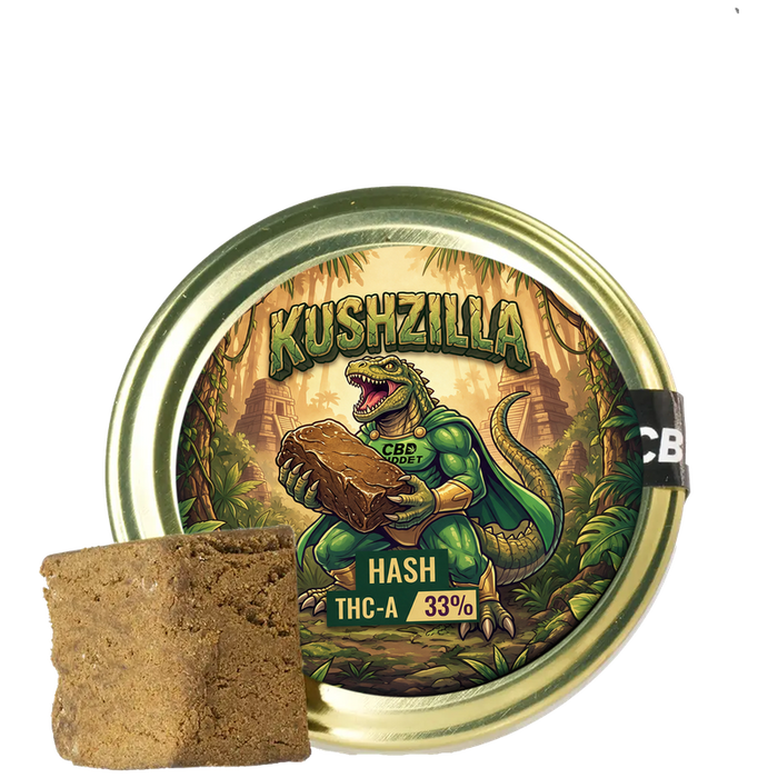 Kushzilla THC-A hash 33 % i guld-dåse med hashklump foran