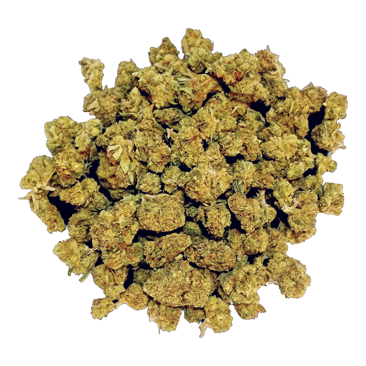 Limoncello Popcorn CBD-blomst – bunke af små toppe set oppefra
