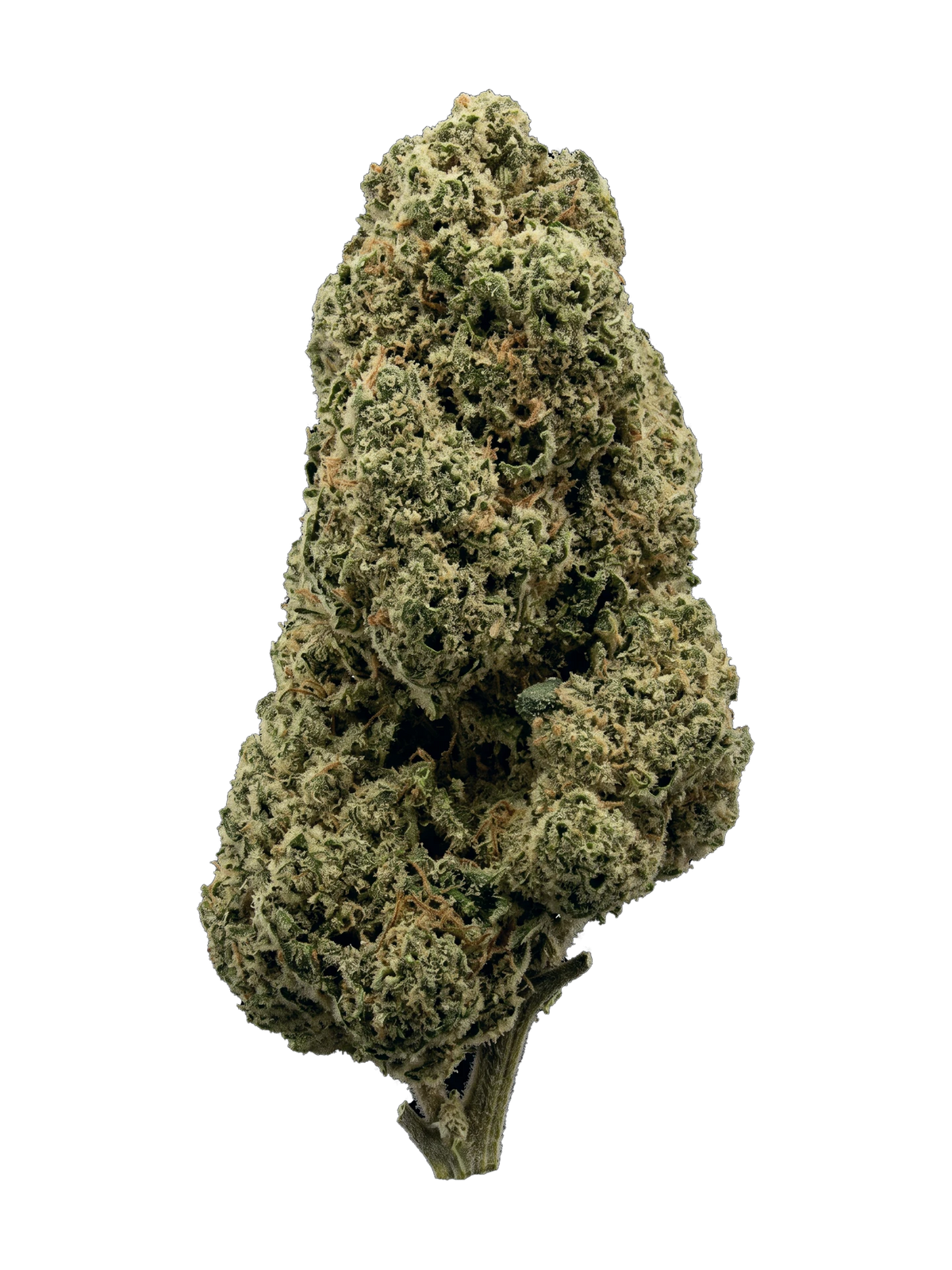 Pineapple Express CBD-blomst – topskud
