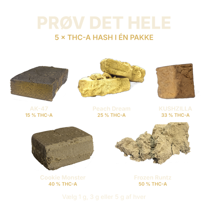 Prøv det hele – THC-A hash pakken med AK-47, Peach Dream, KUSHZILLA, Cookie Monster og Frozen Runtz