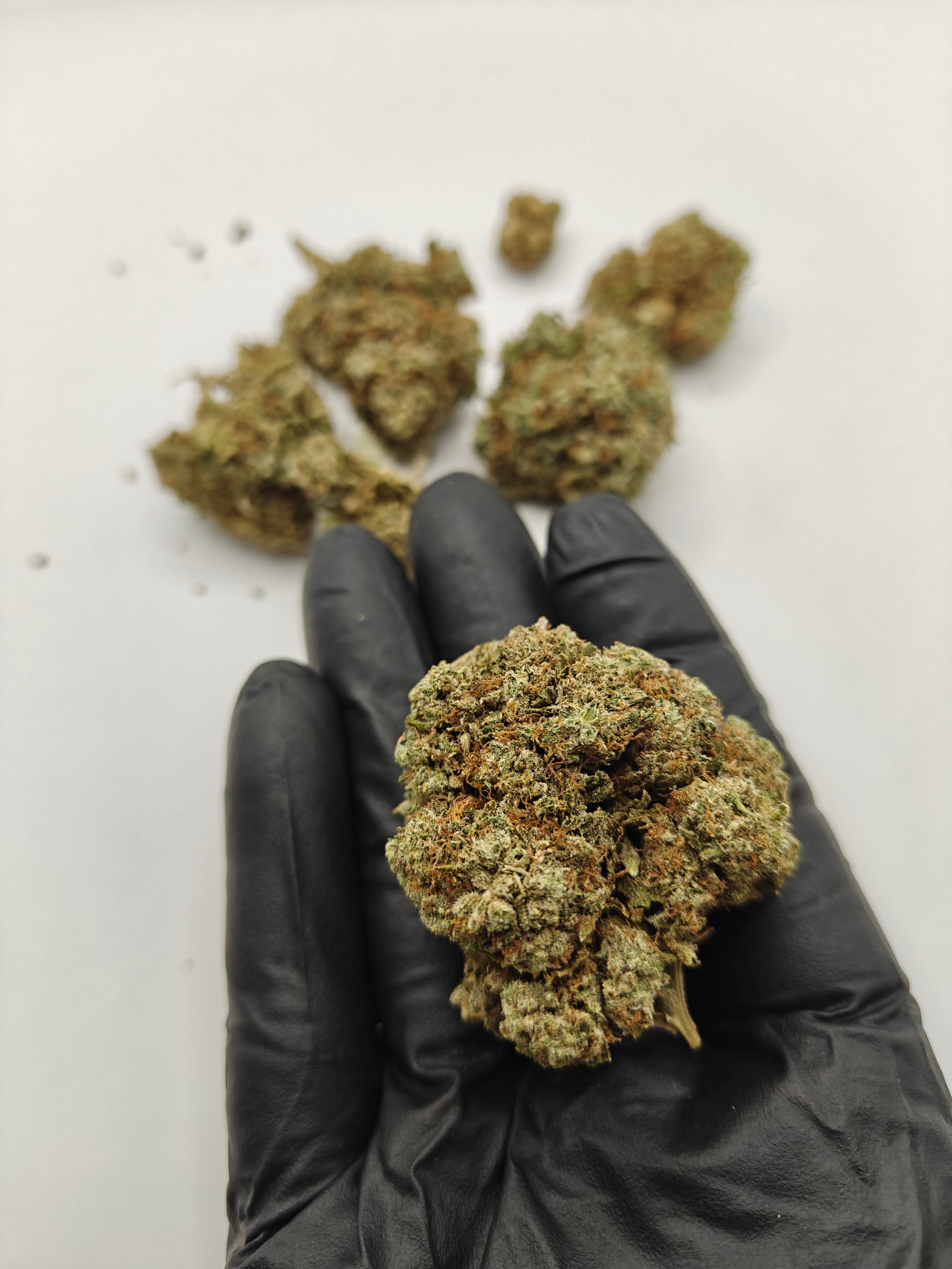 Apple fritter (Cali weed)