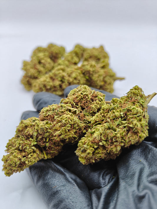 Super Lemon Haze